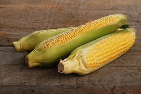 Fresh corn Stock Photos