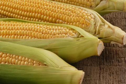 Fresh corn Stock Photos
