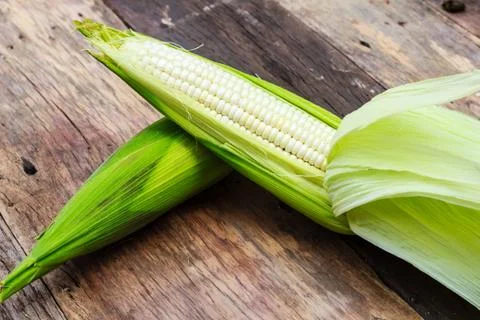Fresh corn Stock Photos