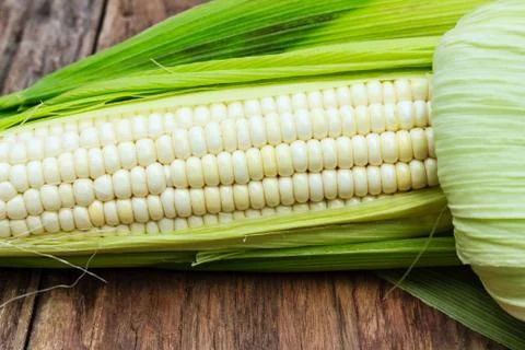 Fresh corn Stock Photos