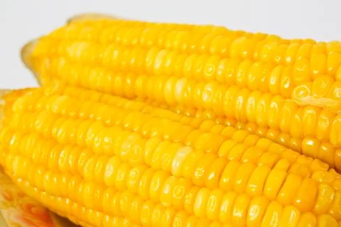 Fresh corn Fotos Stock