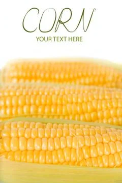 Fresh corn Stock Photos