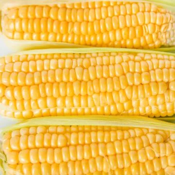 Fresh Corn Stock Photos