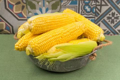 Fresh corn Stock Photos
