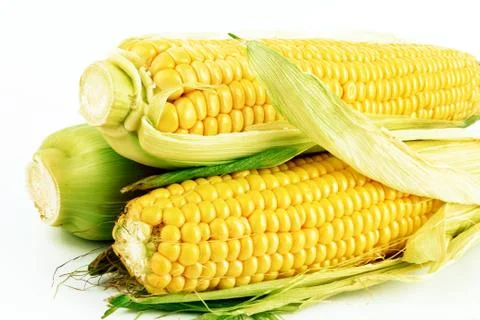 Fresh corn Stock Photos