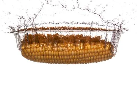 Fresh corn Stock Photos