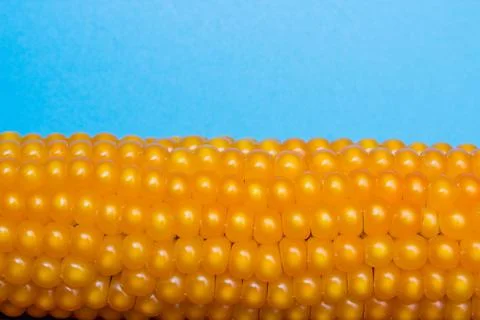 Fresh corn Stock Photos