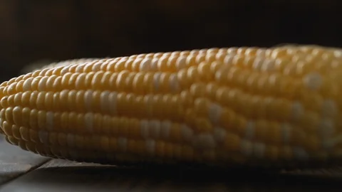 Fresh corn rolling on wooden table. Slow Motion. Stock Footage 89613485