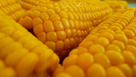 Fresh corn, slow motion, sprinkle salt Video stock 95930909