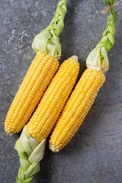 Fresh corn on a tin surface Stock Photos