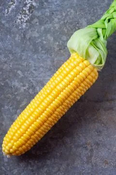 Fresh corn on a tin surface Stock Photos