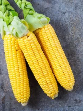 Fresh corn on a tin surface Stock Photos