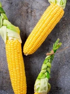 Fresh corn on a tin surface Stock Photos