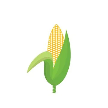 Fresh corn vector element illustration design template Stock Illustration