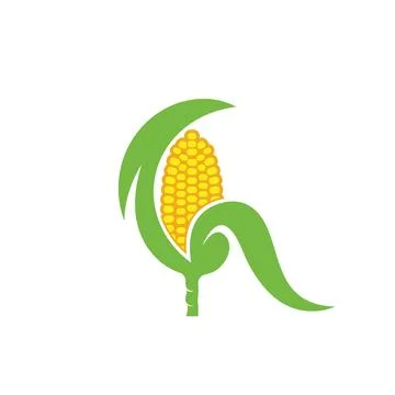 Fresh corn vector element illustration design template Stock Illustration