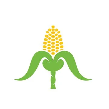 Fresh corn vector element illustration design template Stock Illustration