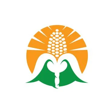 Fresh corn vector element illustration design template Stock Illustration