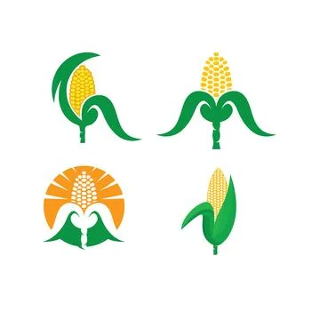 Fresh corn vector element illustration design template Stock Illustration