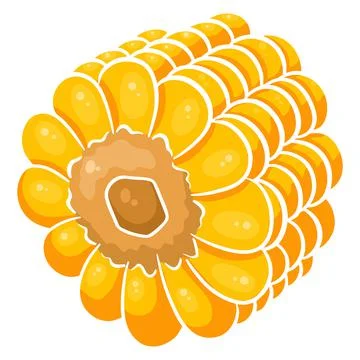 Fresh corn. Vegetable ingredient for the kitchen. Cartoon style. Stock Illustration