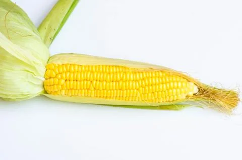 Fresh corn on white background Stock Photos