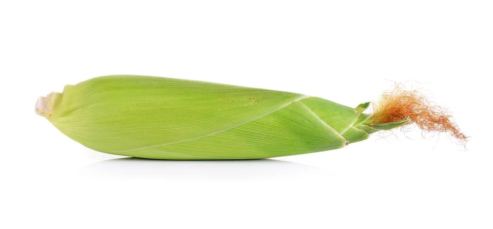 Fresh corn on white background Stock Photos