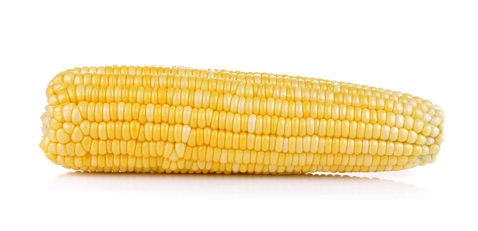 Fresh corn on white background Stock Photos