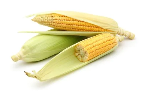 Fresh corn on white background Stock Photos