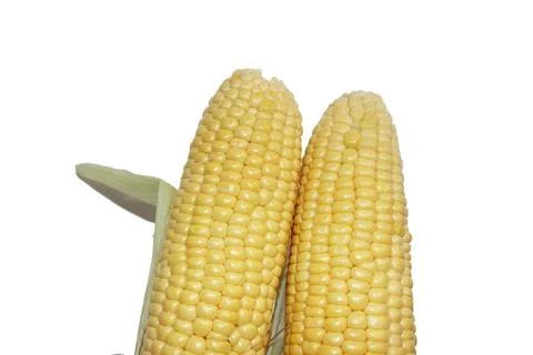 Fresh Corn in white background Foto stock