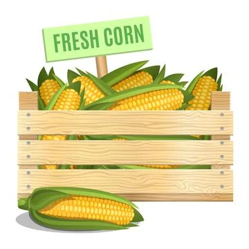 Fresh corn in a wooden box on a white background. Vector icon. Stock Illustration