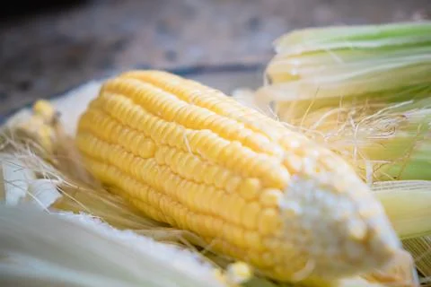 Fresh Corncob with selective focus and blur background. Stock-Fotos