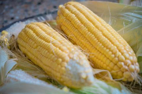 Fresh Corncob with selective focus and blur background. Fotos de archivo