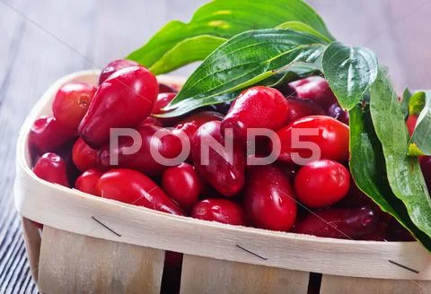 Fresh cornel Stock Photos