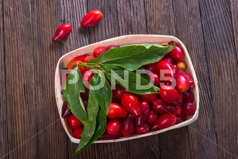 Fresh cornel Stock Photos