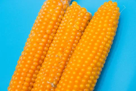 Fresh corns Stock Photos