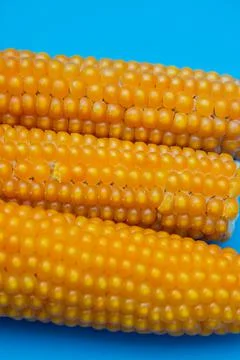 Fresh corns Stock Photos