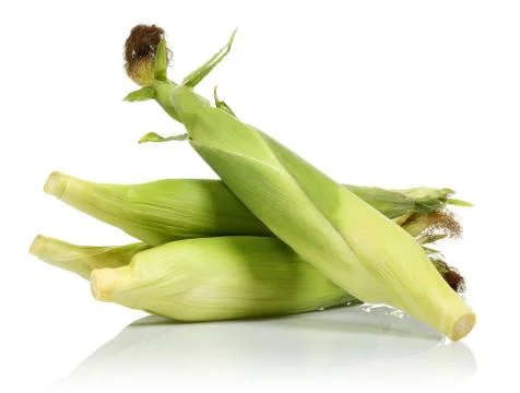 Fresh corns on a white background Foto stock