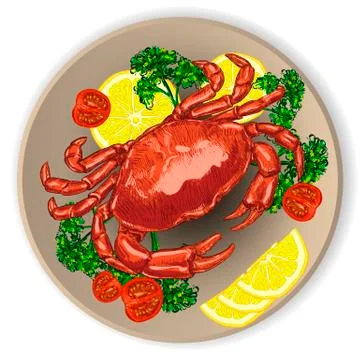 Fresh crab, served with vegetables. Illustrazione stock