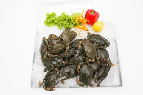 Fresh crab on a white background Stock Photos