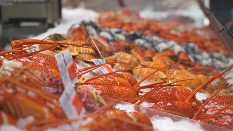 Fresh crabs covered with ice inside a counter - Sydney fish market Stock Footage 76547147