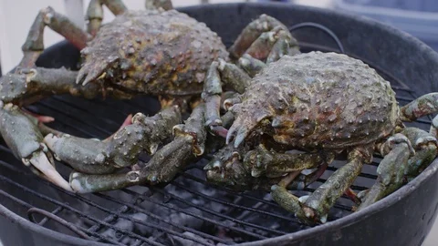 Fresh crabs on the grill Vídeo Stock 118618101