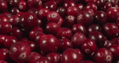 Fresh cranberries closeup rotating Stock Footage 167555073