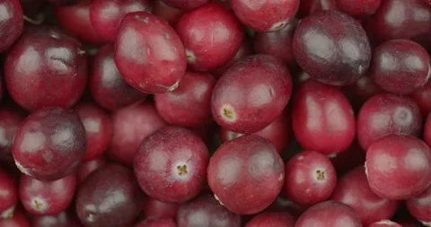 Fresh cranberries closeup rotating loopable Stock Footage 142129114