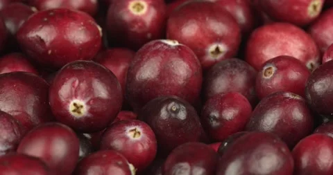 Fresh cranberries closeup rotating loopable Stock Footage 143307531
