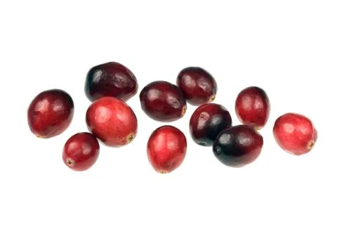 Fresh cranberries Stock-Fotos
