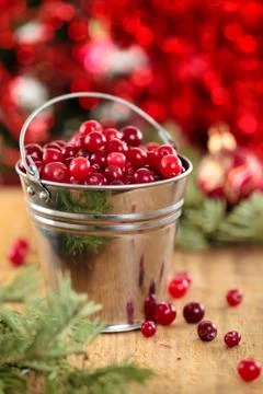 Fresh cranberries. Stock Photos