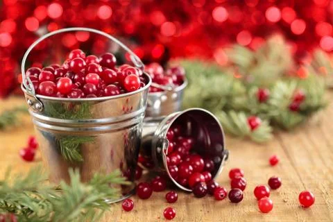 Fresh cranberries. Stock Photos