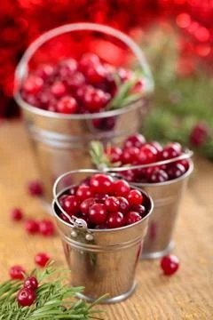 Fresh cranberries. Stock Photos