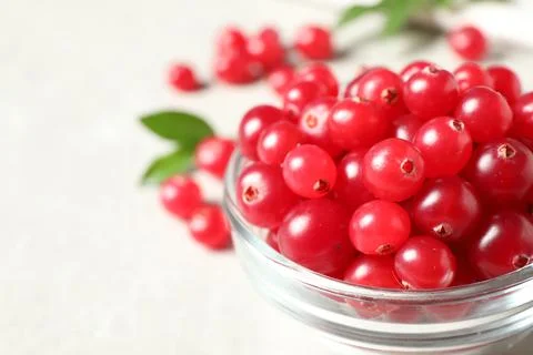 Fresh cranberry in bowl on light table, closeup. Space for text Stock Photos