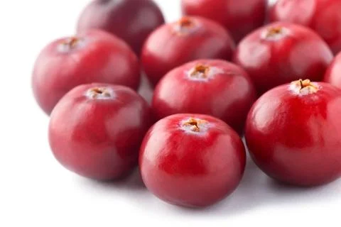 Fresh cranberry Stock Photos