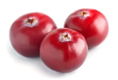 Fresh cranberry Stock Photos